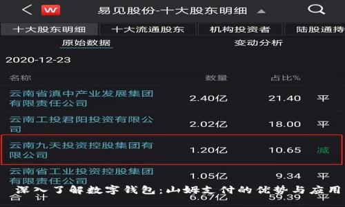  深入了解数字钱包：山姆支付的优势与应用