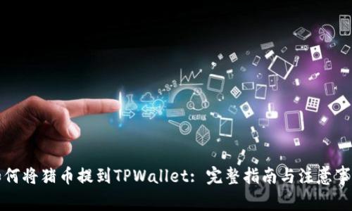 如何将猪币提到TPWallet: 完整指南与注意事项