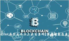 : tpwallet为什么不上三大交易所？深度解析及未来