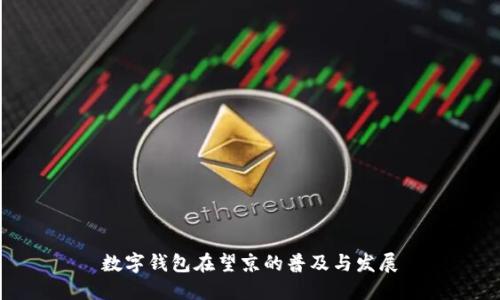 数字钱包在望京的普及与发展