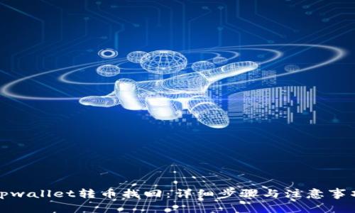 tpwallet转币找回：详细步骤与注意事项